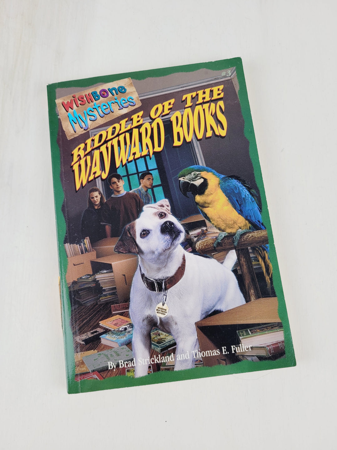WISHBONE MYSTERIES #3 RIDDLE OF THE WAYWARD BOOKS CHAPTER BOOK EUC