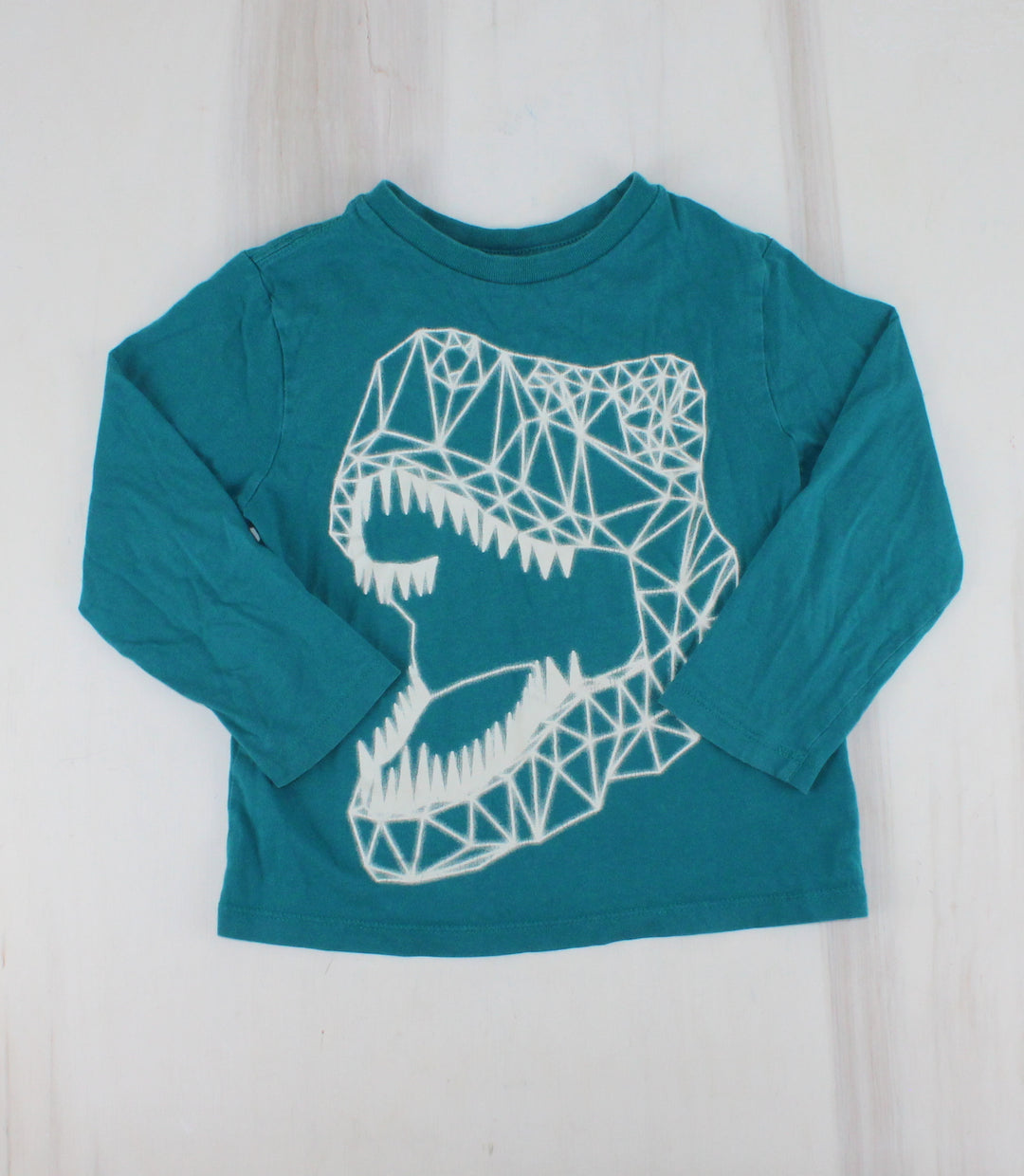 CHILDRENS PLACE DINO TOP LONG SLEEVE 4Y PRE-LOVED