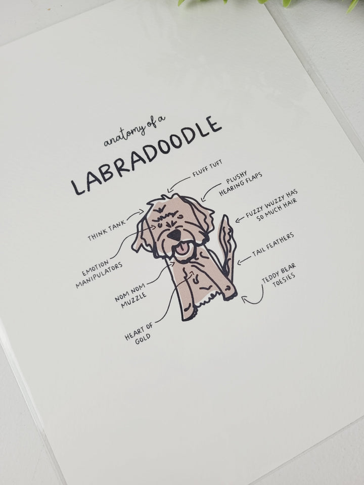 Pamplemoose Design, Dog Anatomy Prints