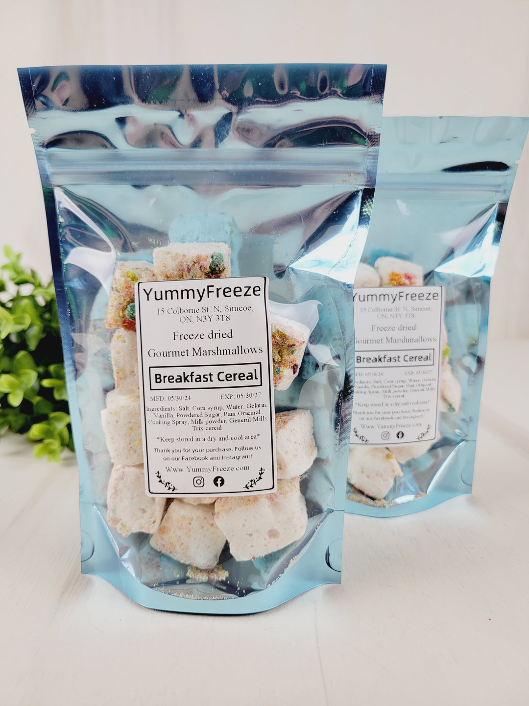 Yummy Freeze, Freeze Dried Gourmet Marshmallows