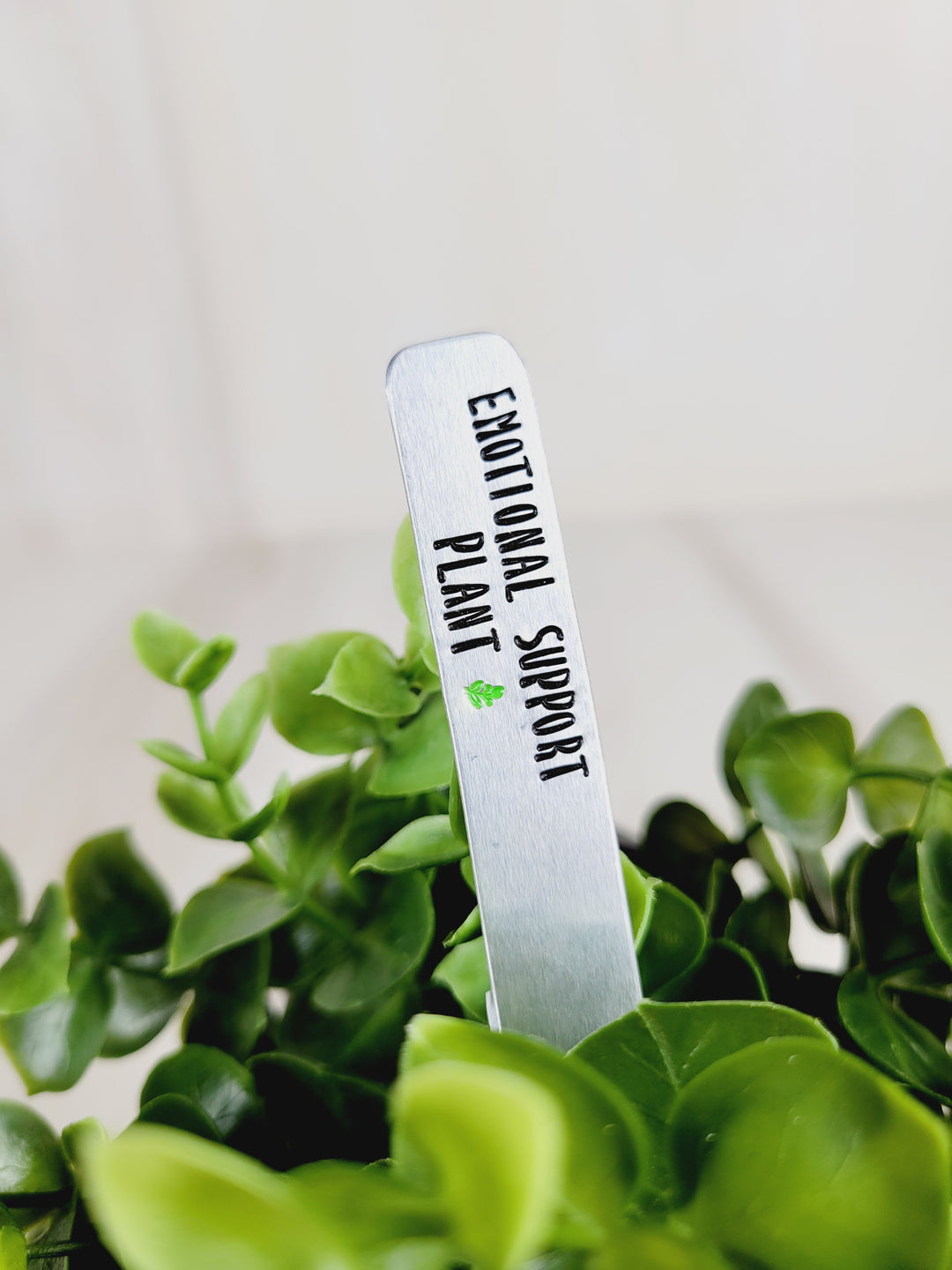 Wicked Lovely Creations, Plant Markers