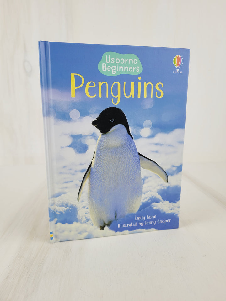 Books With Bree, Usborne Beginners Books