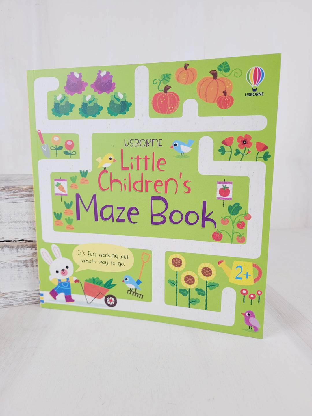 Books with Bree, The Usborne Amazing Activity & Maze Books