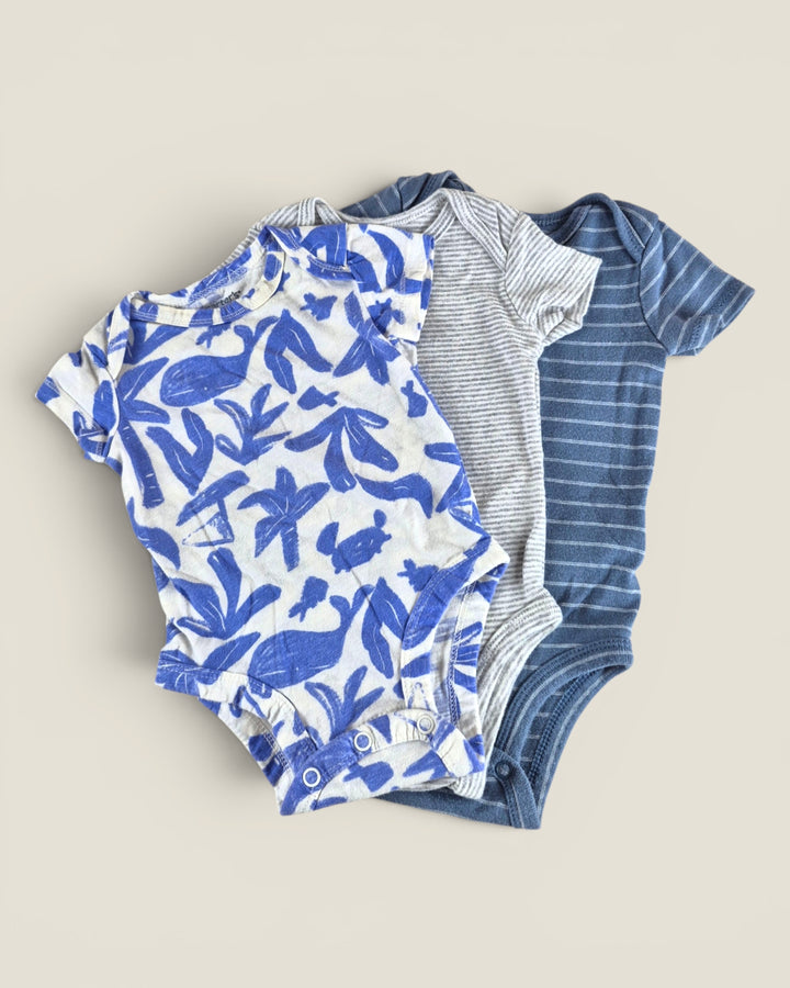 Pre-Loved Carter's Set Of 3 Onesies 3M | Betty’s Marketplace