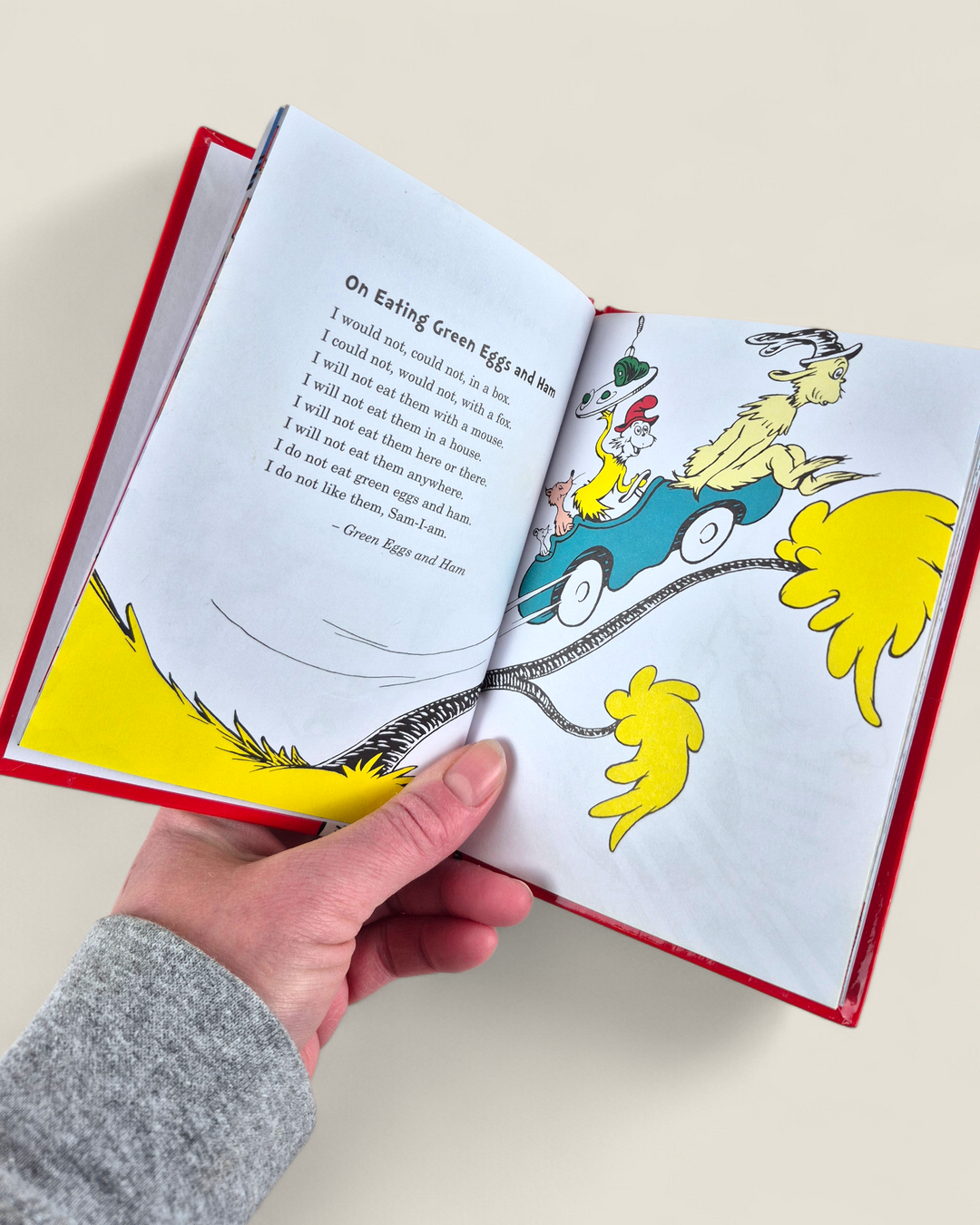 Pre-Loved Dr. Seuss On The Loose Mini Book | Betty’s Marketplace