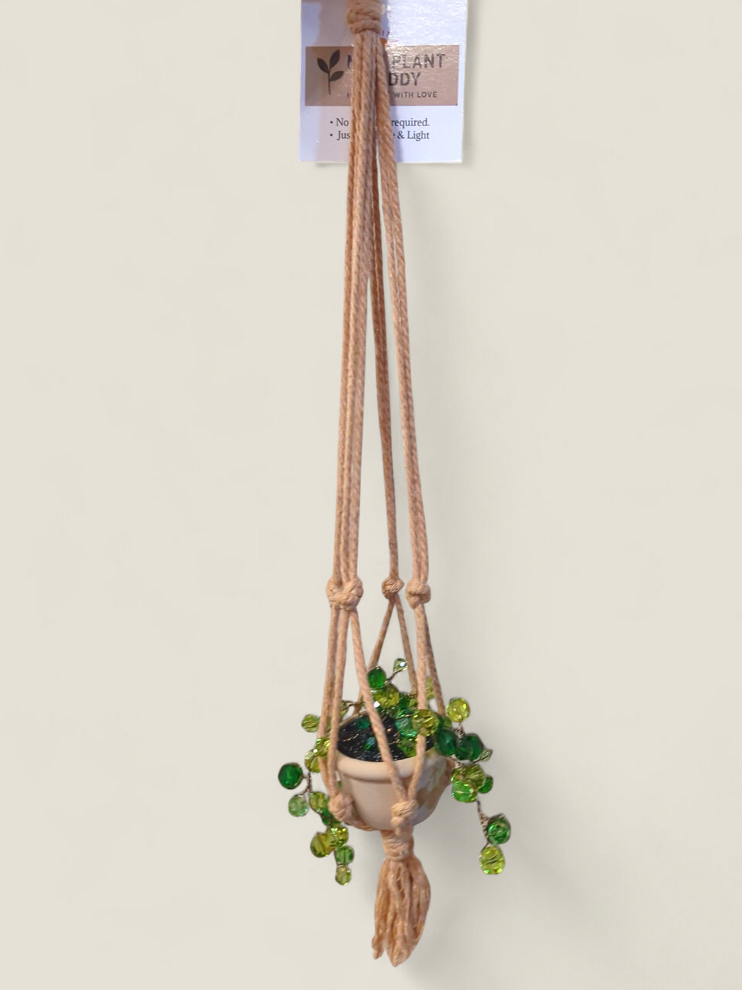 Kristi Scott Art, Jeweled Suncatcher Plants