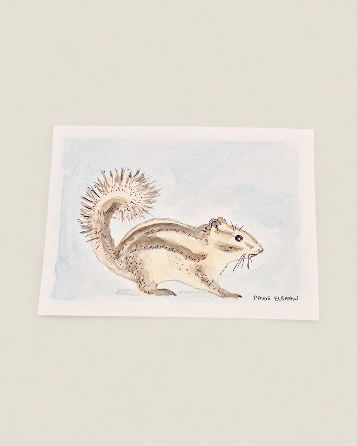 Original Art by Paige Elshaw, Watercolour Paintings