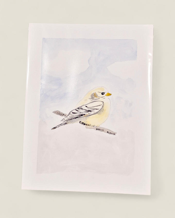 Original Art by Paige Elshaw, Watercolour Paintings
