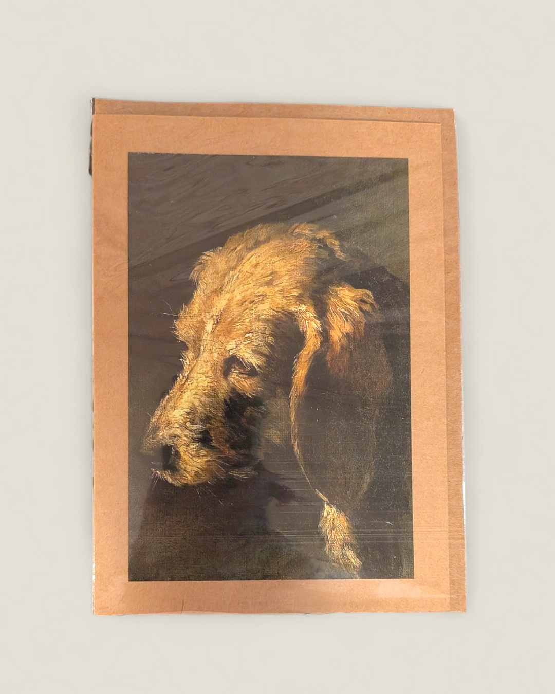 Rosewood Lane, Photography Greeting Cards