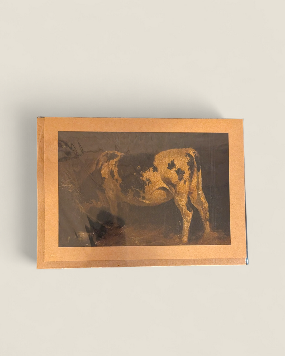 Rosewood Lane, Photography Greeting Cards