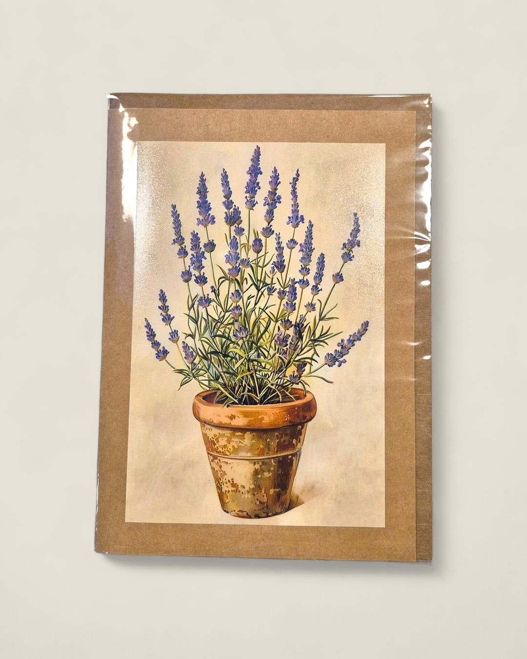 Rosewood Lane, Photography Greeting Cards