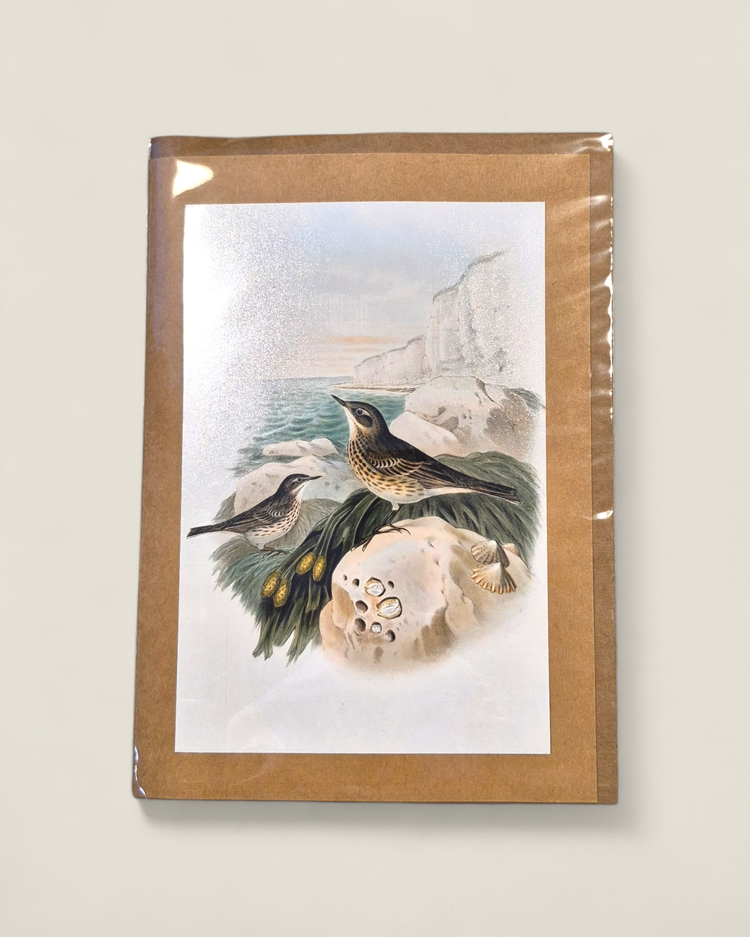 Rosewood Lane, Photography Greeting Cards