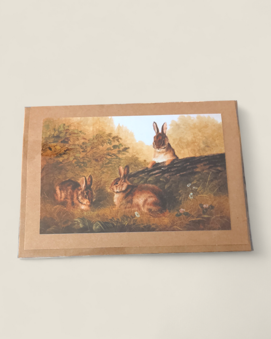 Rosewood Lane, Photography Greeting Cards