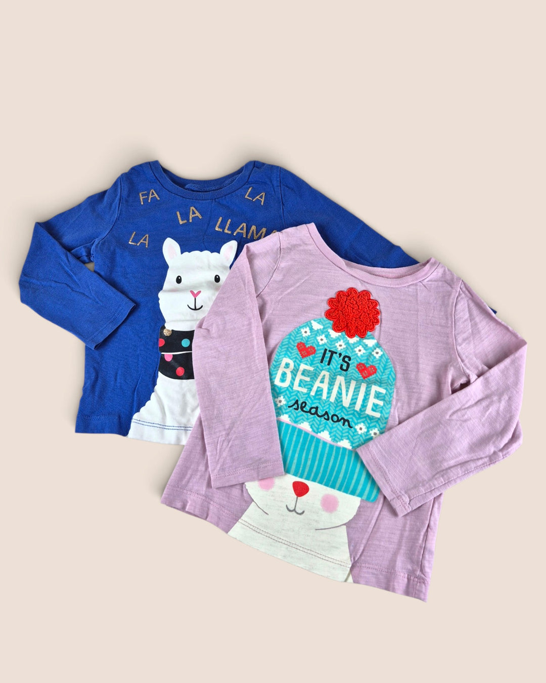 Pre-Loved Carter's Set Of 2 Long Sleeve Tops Girls 3Y | Betty’s Marketplace