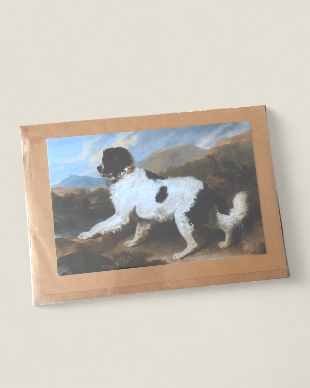 Rosewood Lane, Photography Greeting Cards