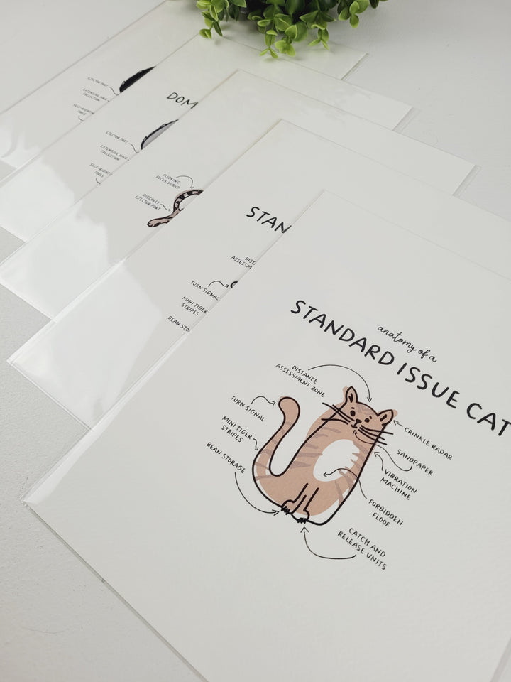 Pamplemoose Design, Cat Anatomy Prints