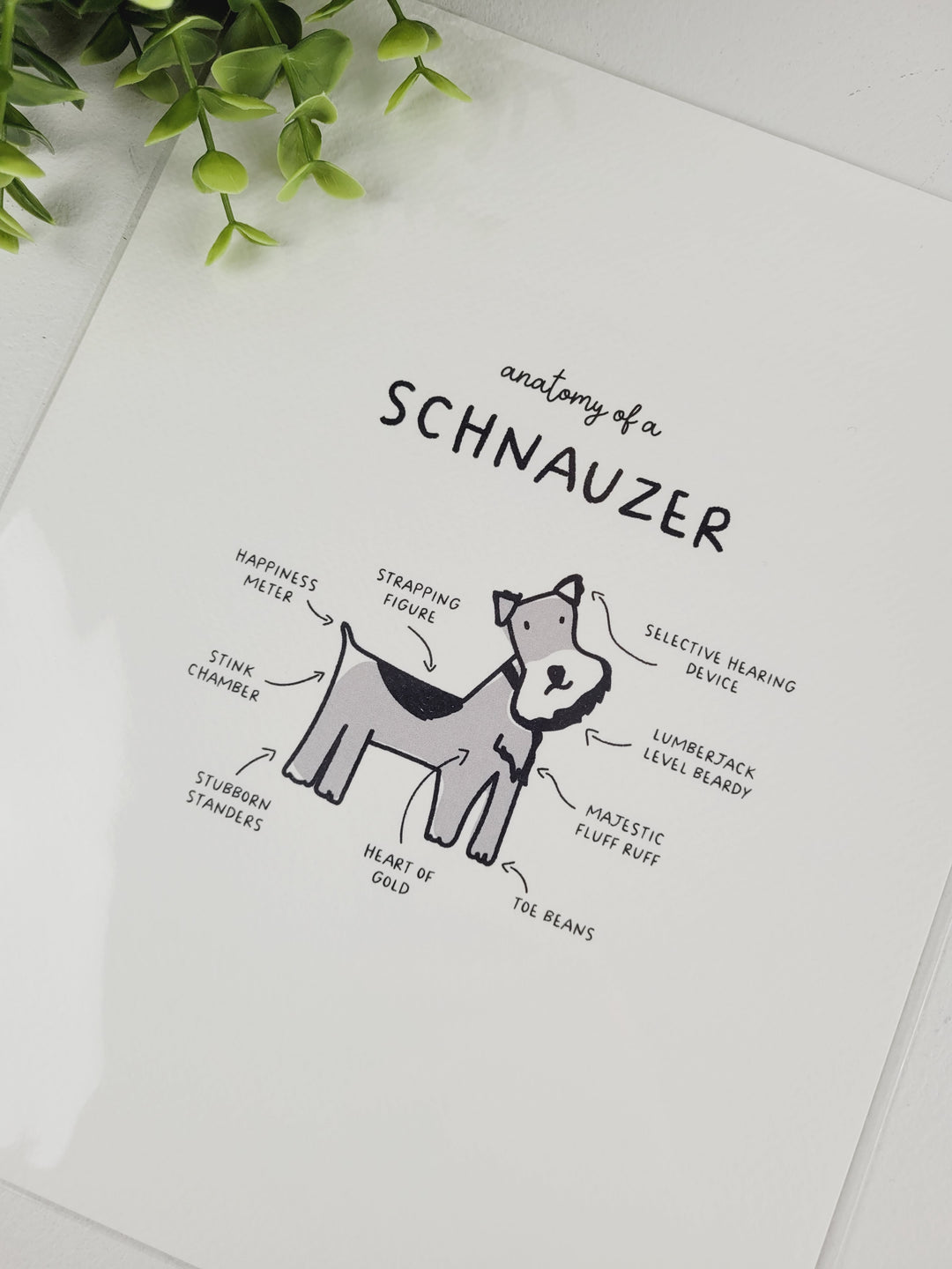 Pamplemoose Design, Dog Anatomy Prints